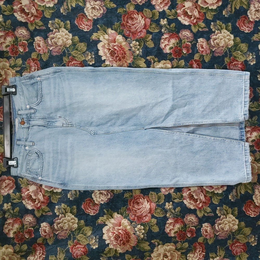 Madewell Light Wash Denim Maxi Skirt